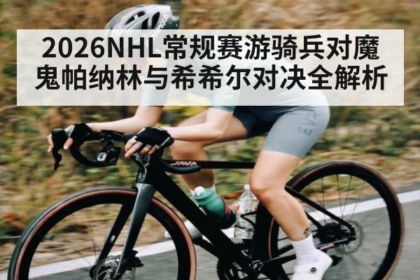 2026NHL常规赛游骑兵对魔鬼帕纳林与希希尔对决全解析